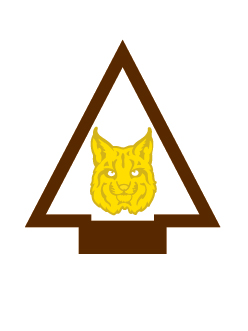 Bobcat Bobcat