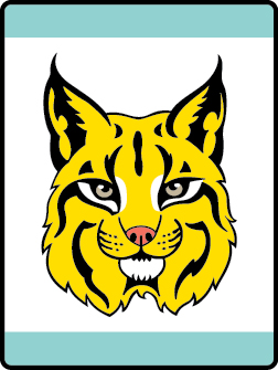 Bobcat Bear Bobcat