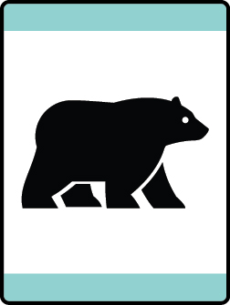 2023_2024_loops_pins_Bear_Habitat Bear Habitat