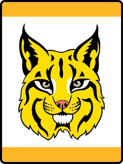 Bobcat Lion Bobcat
