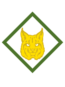 Bobcat Webelos Bobcat